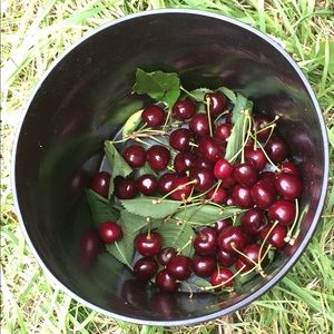 Meet your Posher, Tatijana